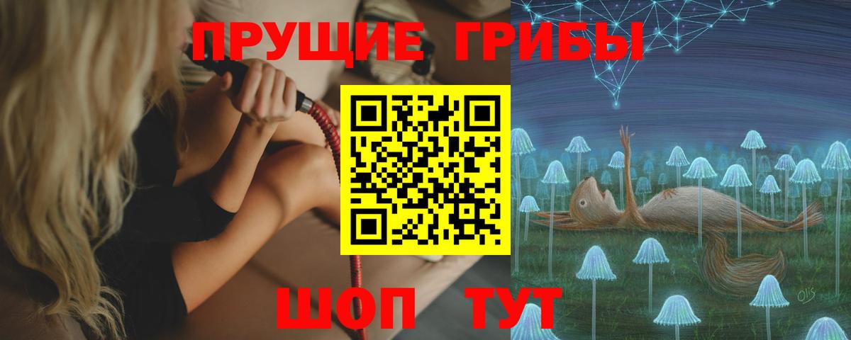 Дербент  Псилоцибиновые грибы Psilocybe  Вход с VPN 
